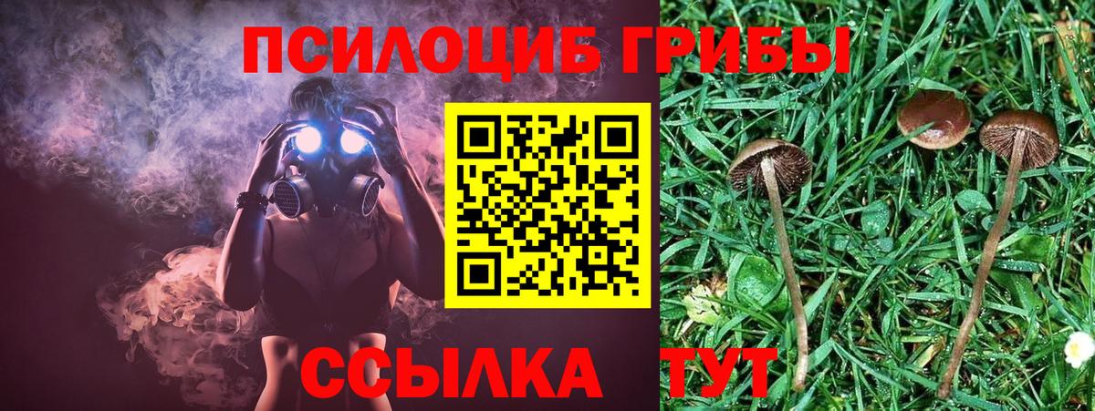 Псилоцибиновые грибы мицелий Скопин