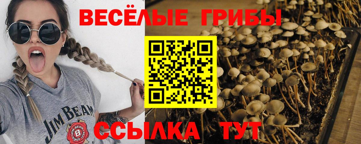 Галлюциногенные грибы ЛСД  Вход с VPN  Скопин 